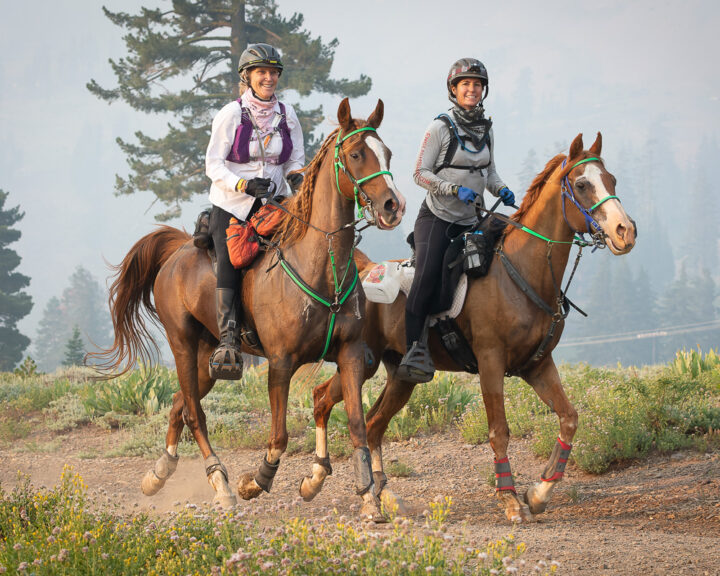 The Tevis Cup 100 Miles One Day Western States Trail Ride 100