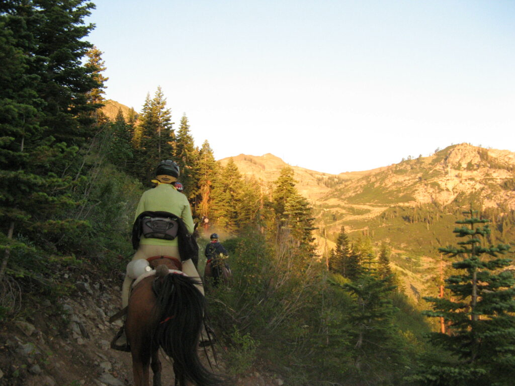 Trail south of Olympic Valley, 2009