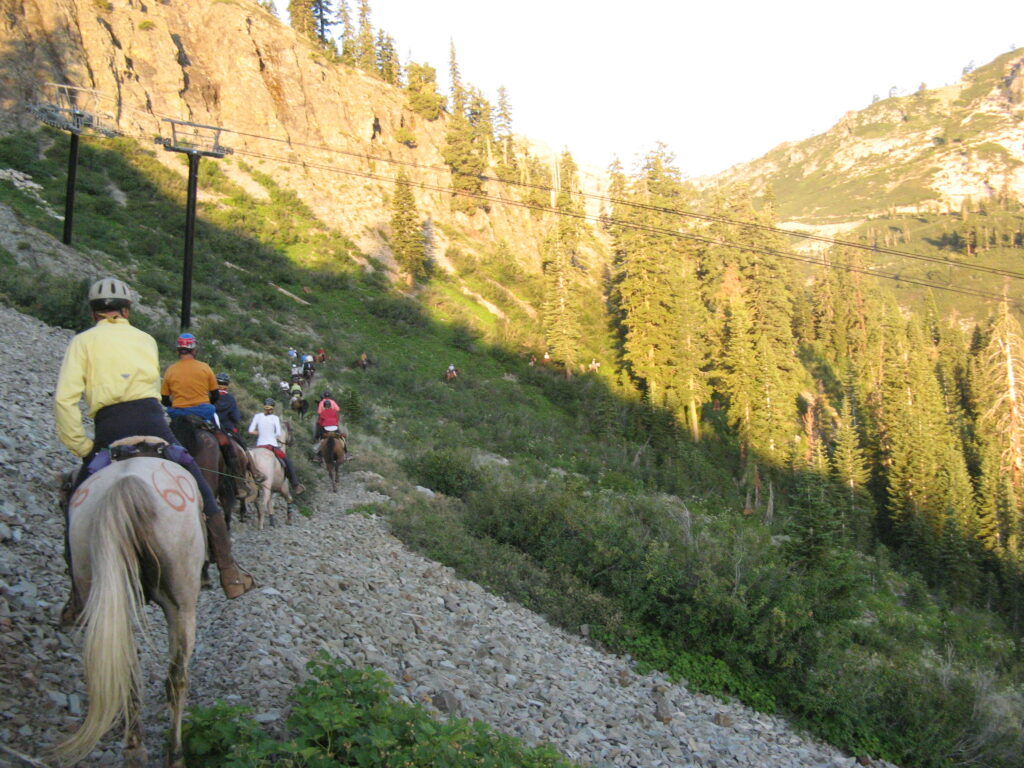 Trail south of Olympic Valley, 2009