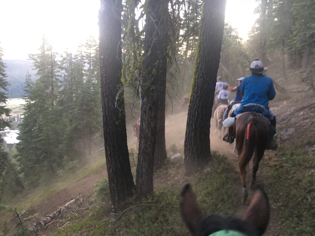 Trail south of Olympic Valley, 2019