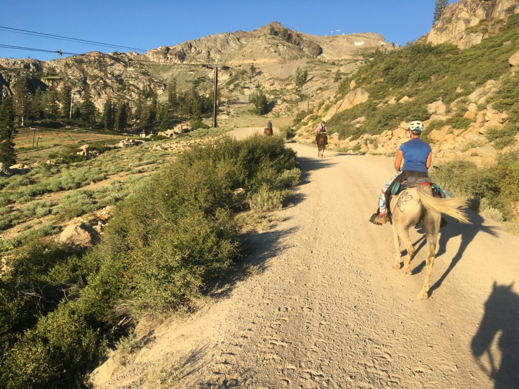 Trail headed through Palisades-Tahoe Ski Resort, 2019