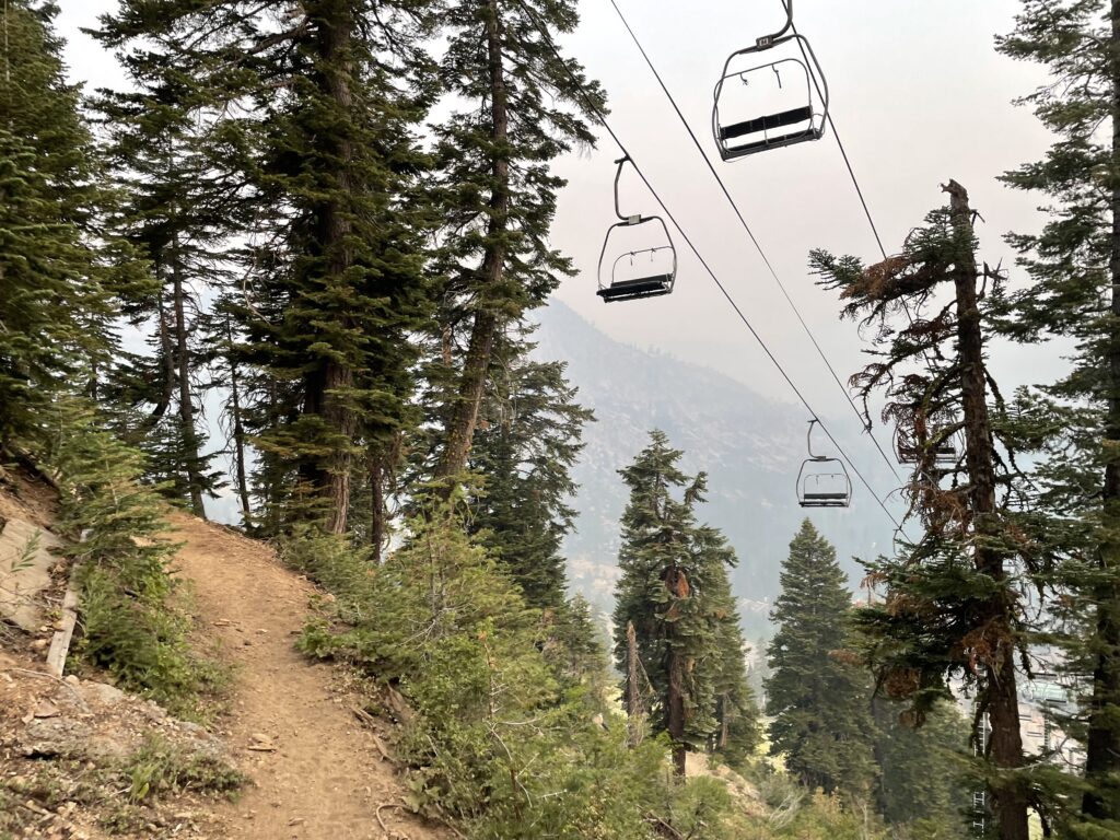 Trail south of Olympic Valley, under the Ski Lift, 2021