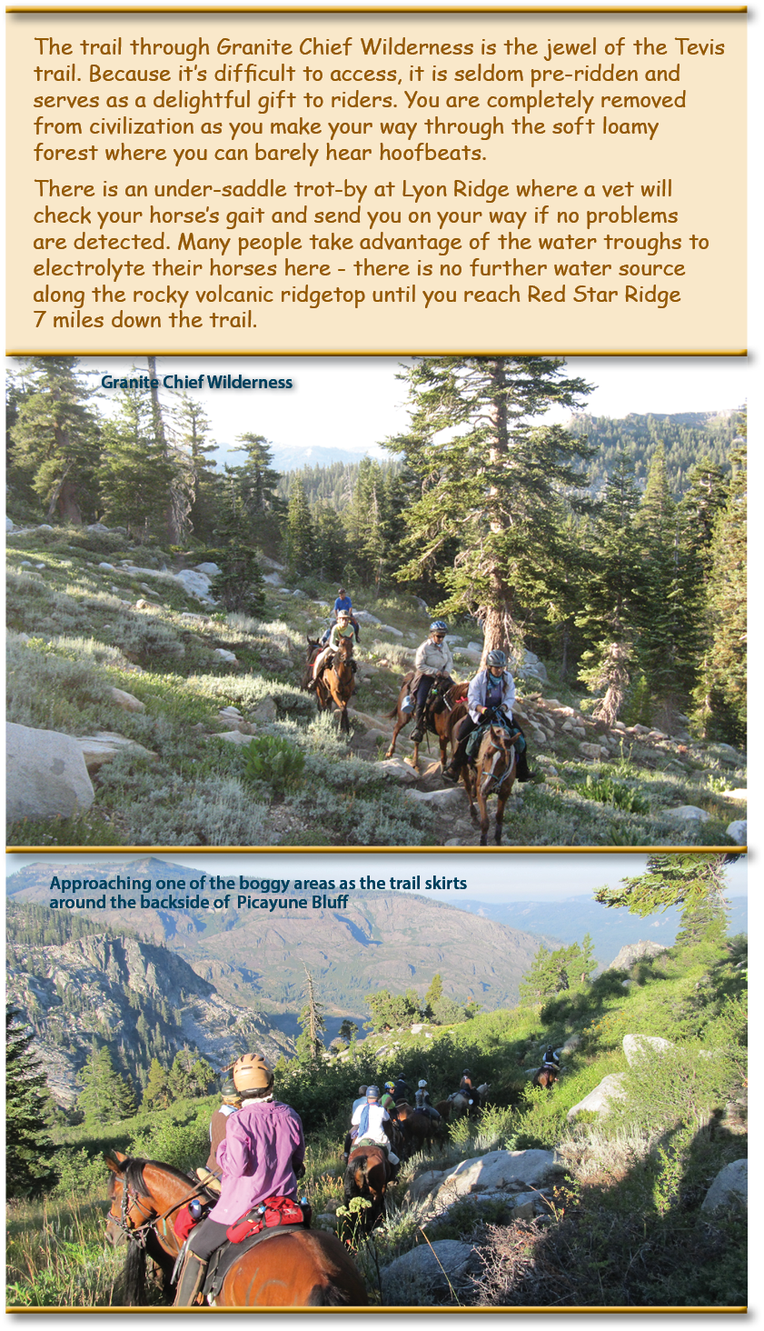 The trail through Granite Chief Wilderness is the jewel of the Tevis trail. Because it’s difficult to access, it is seldom pre-ridden and serves as a delightful gift to riders. You are completely removed from civilization as you make your way through the soft loamy forest where you can barely hear hoofbeats.  There is an under-saddle trot-by at Lyon Ridge where a vet will check your horse’s gait and send you on your way if no problems are detected. Many people take advantage of the water troughs to electrolyte their horses here - there is no further water source along the rocky volcanic ridgetop until you reach Red Star Ridge 7 miles down the trail.