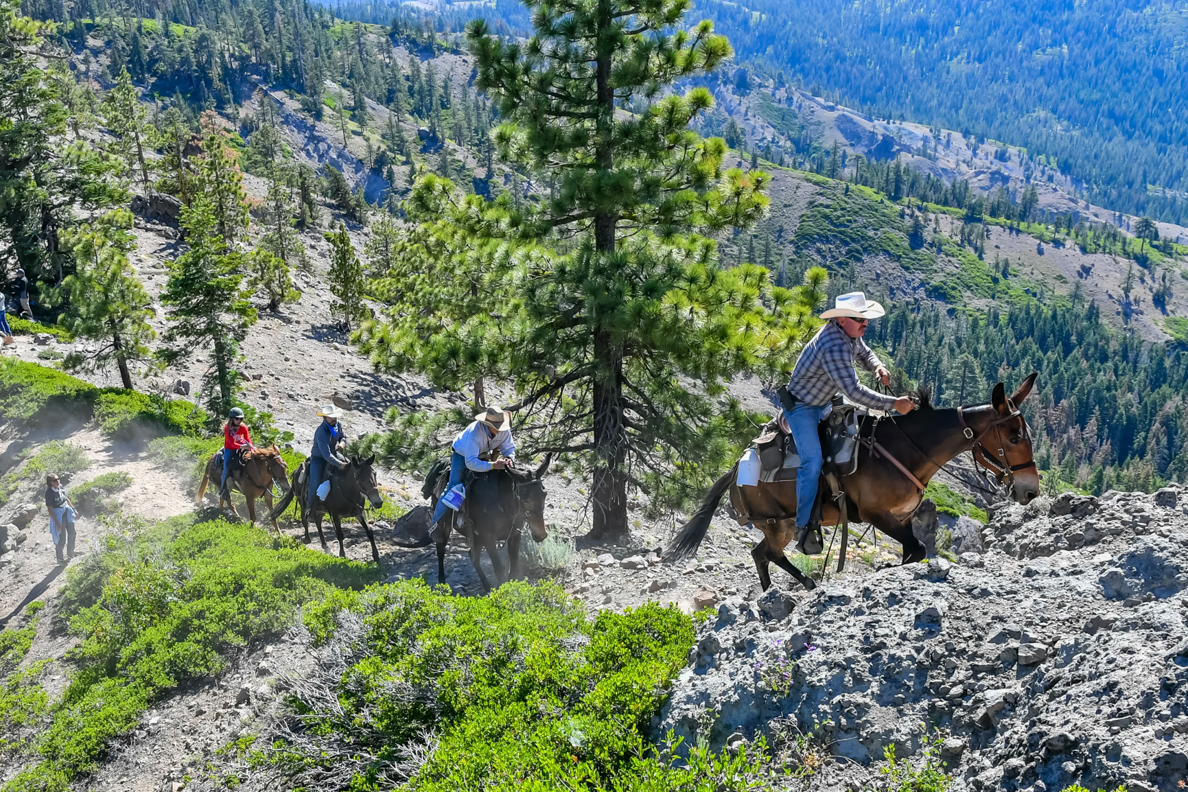 Travel Mug - Colorado Trail Foundation