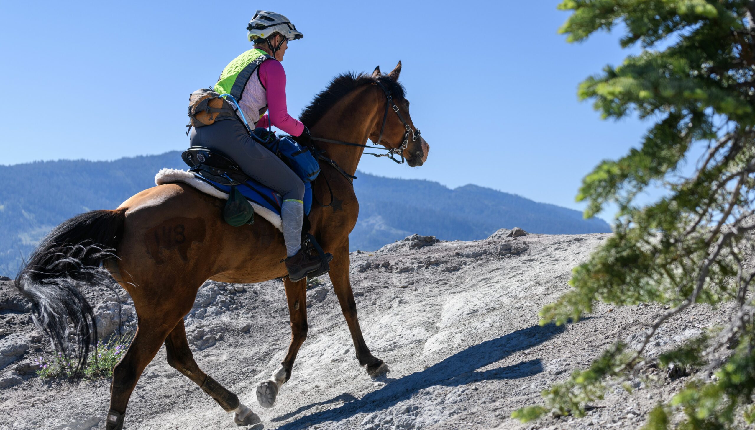 The Tevis Cup 100 Miles One Day Western States Trail Ride 100