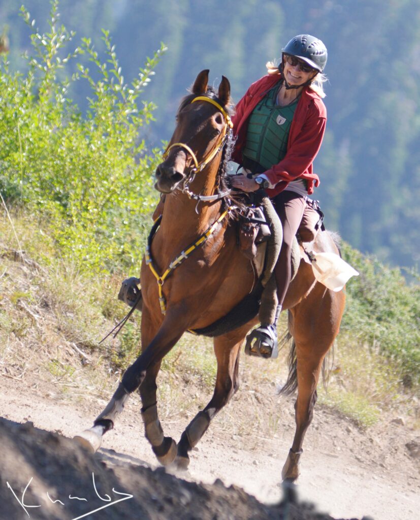 Trail Riding Between the Ears Sticker - San Diego Saddlery