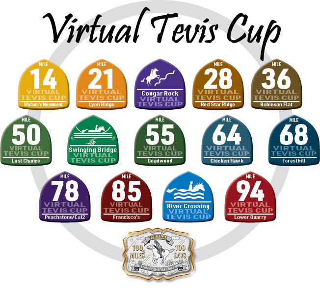 Virtual Tevis Cup